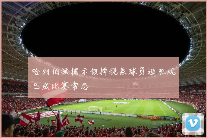 哈利伯顿揭示假摔现象球员造犯规已成比赛常态