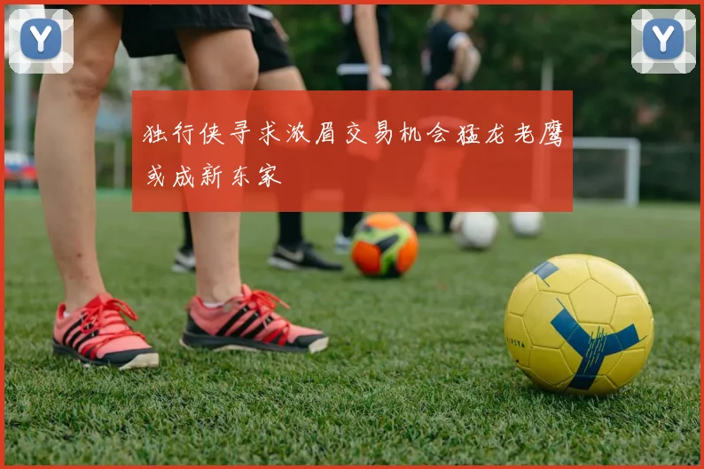 独行侠寻求浓眉交易机会猛龙老鹰或成新东家